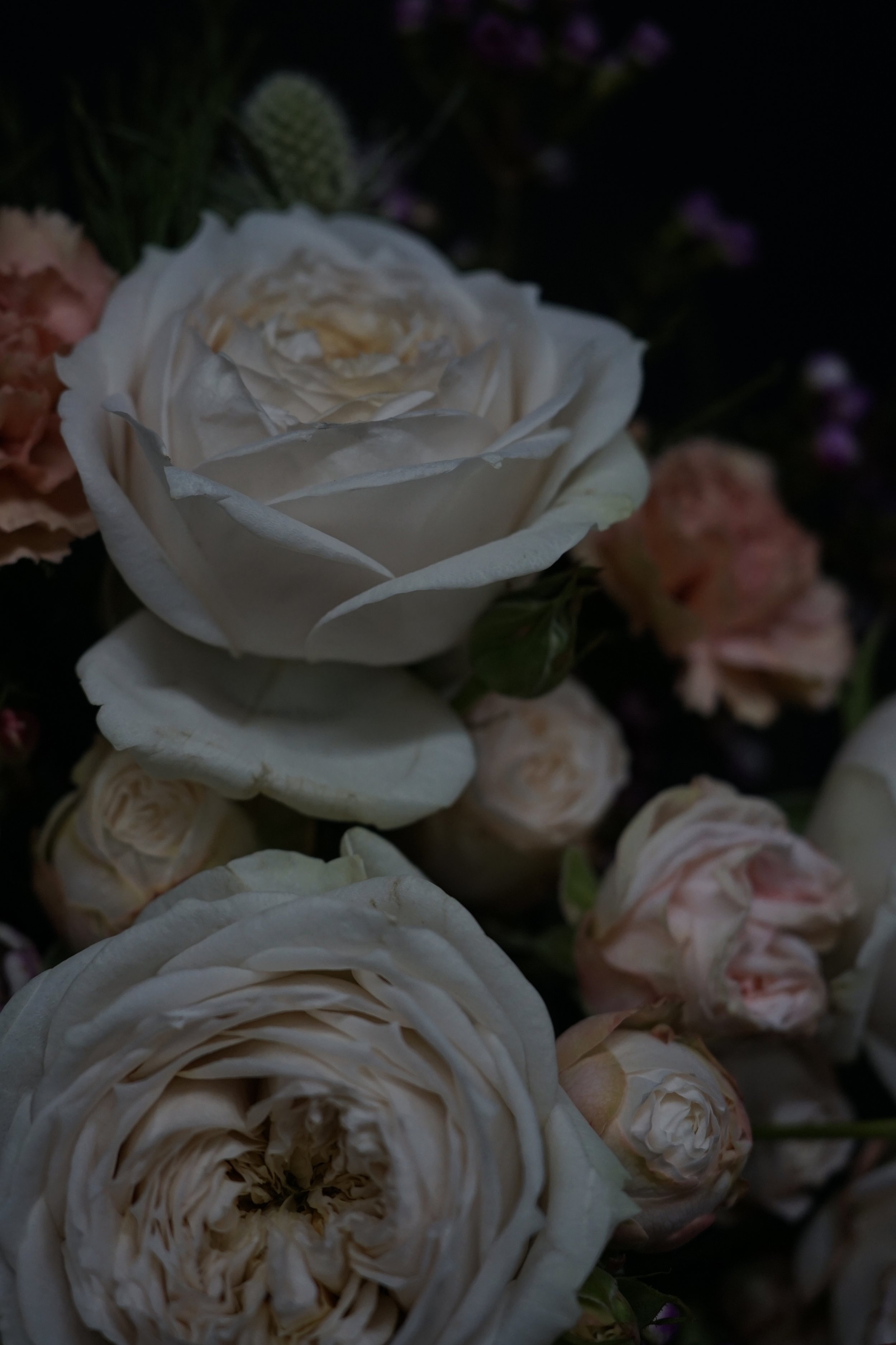 IMG_3772.jpeg