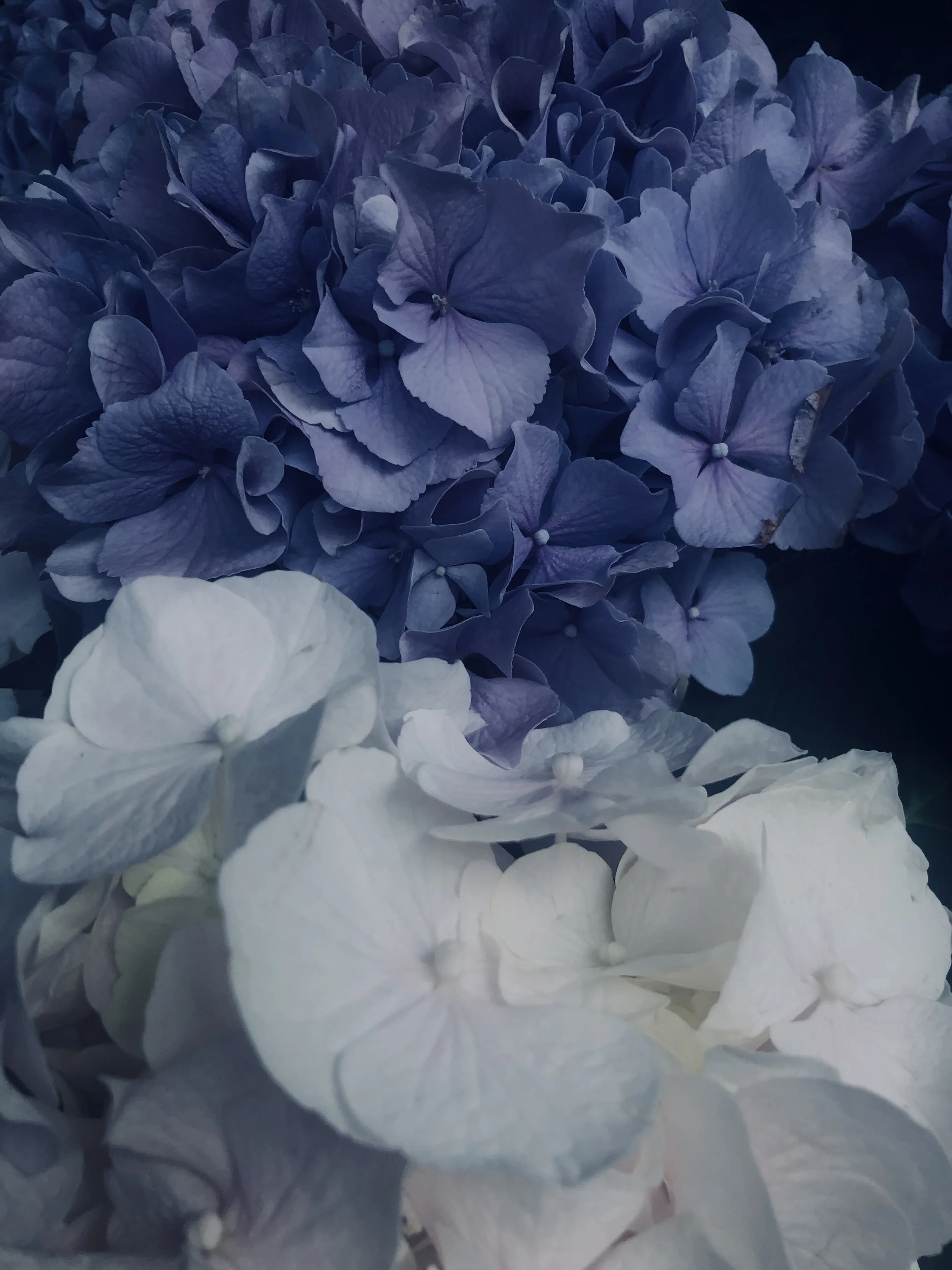 IMG_0587.jpeg