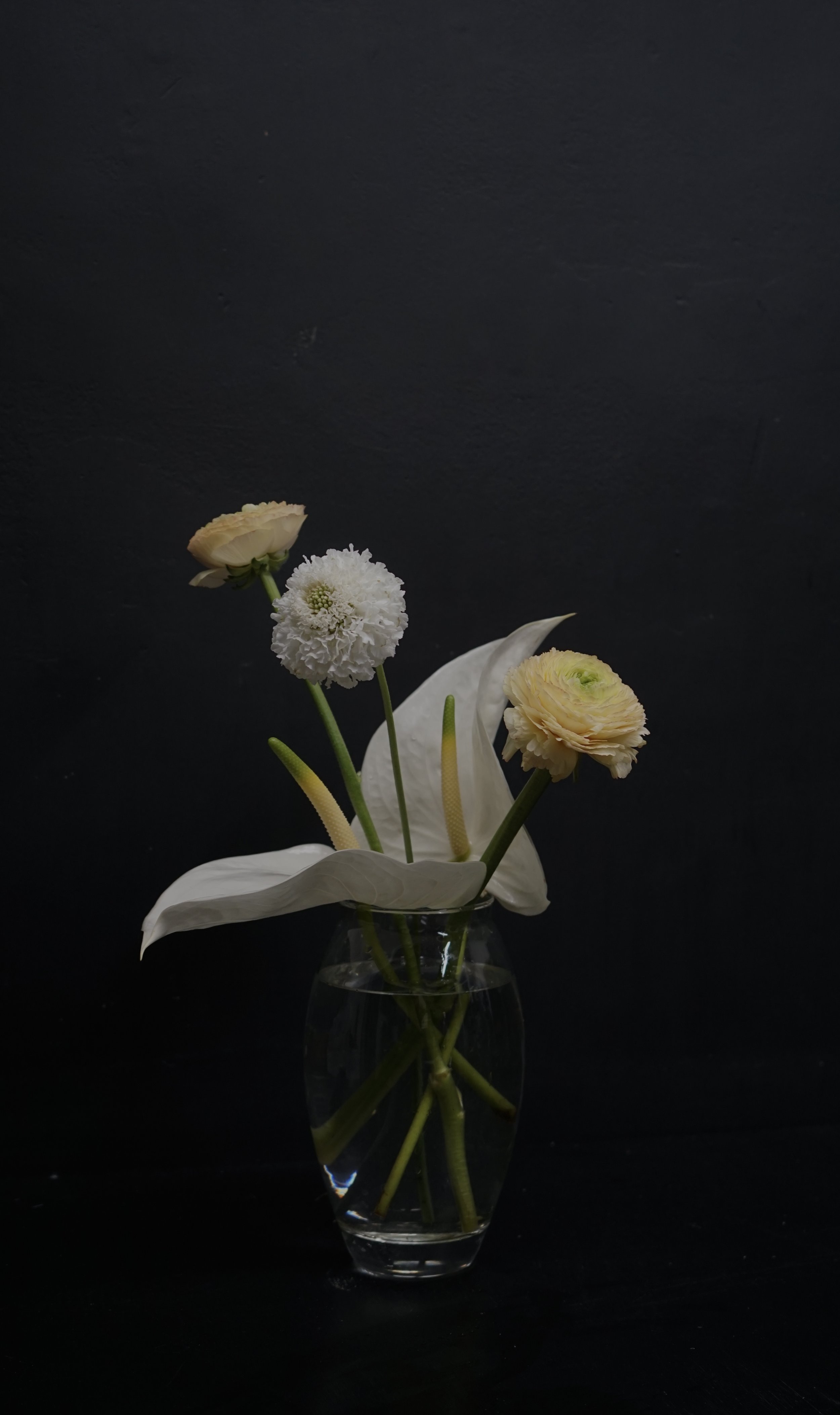 IMG_3530.jpeg