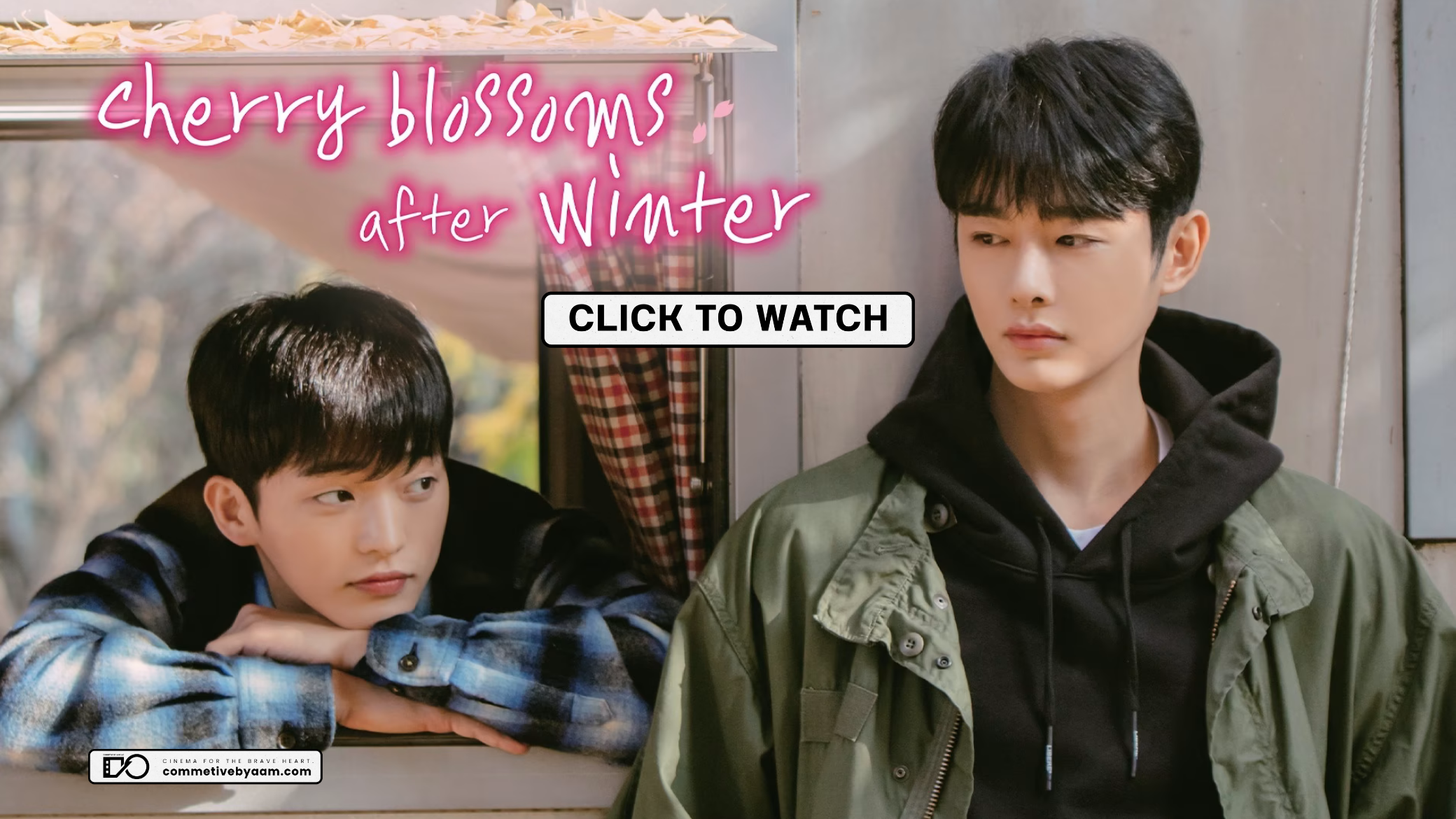 Cherry Blossoms After Winter (2022)