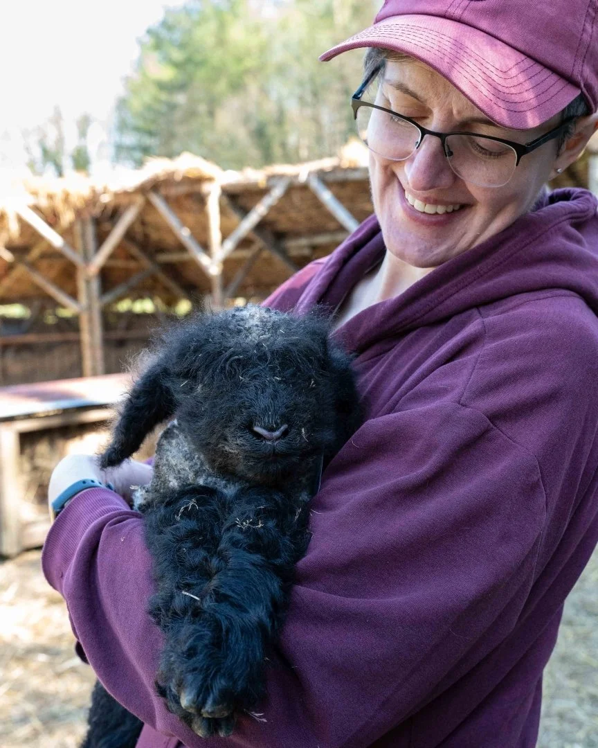 CHA_8103 Lamb #2 April 2025.jpg