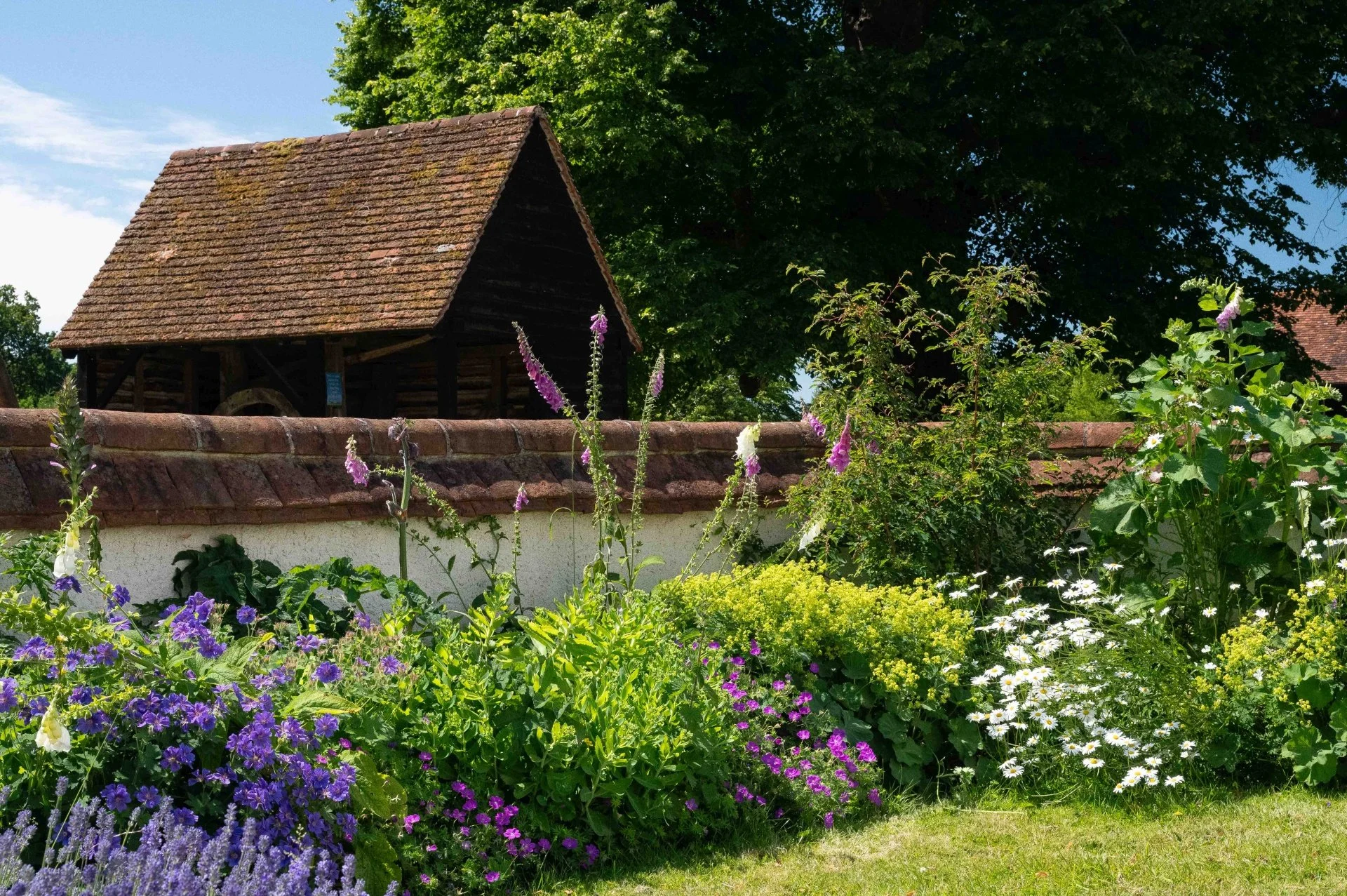 A traditional walled cottage garden border at Chiltern Open Air Museum