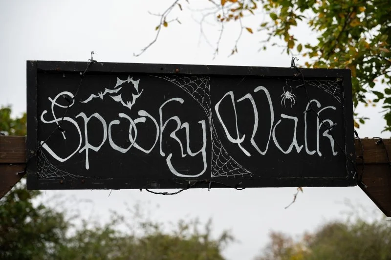 A black sign with silver text saying Spooky Walk covered in cobwebs and bats