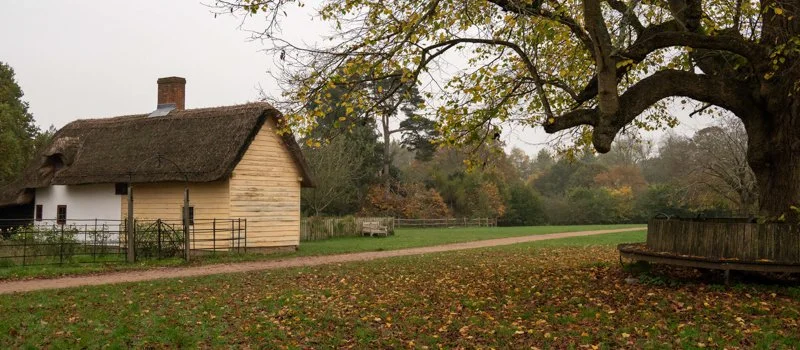 Yellow cottage in autumnal scene with tree and leaves on the ground