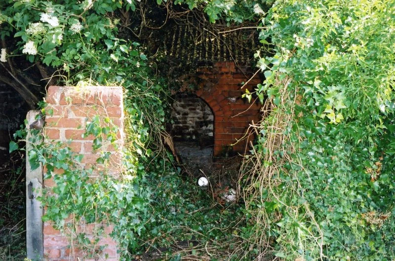 pigsties covered in overgrowth