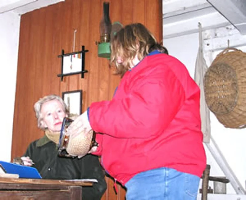 artefact cataloguing volunteers