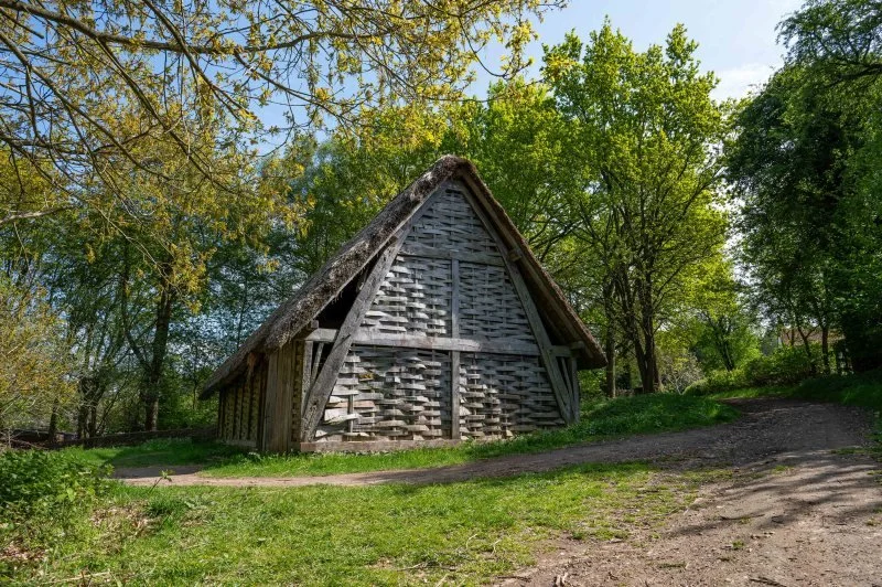 A cruck framed barn stands in a woodland clearing on a summer day
