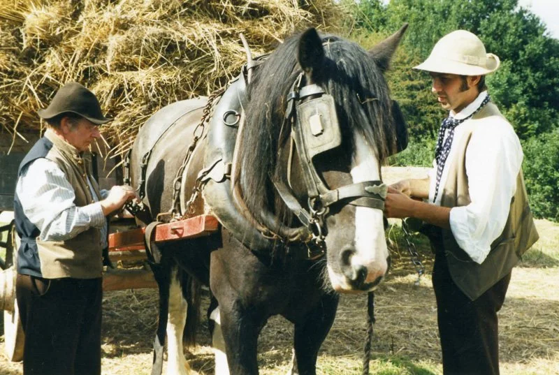 Two men saddle up shire horse