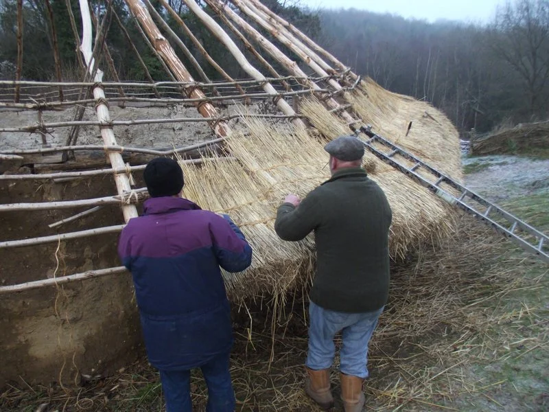 two people with backs to camera re thatching iron age house