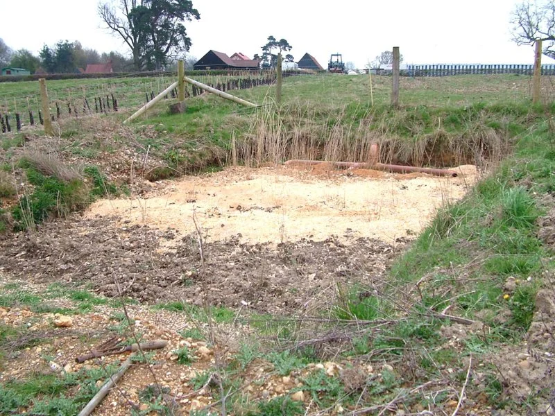 square of earth with reeds growing out