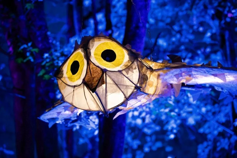 A paper lantern shaped like an owl hands from a tree illuminated in blue light