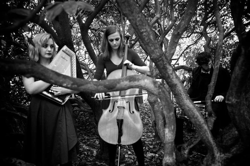 A group of three musicians play beside a tree. One plays autoharp, one plays cello, one plays a drum.