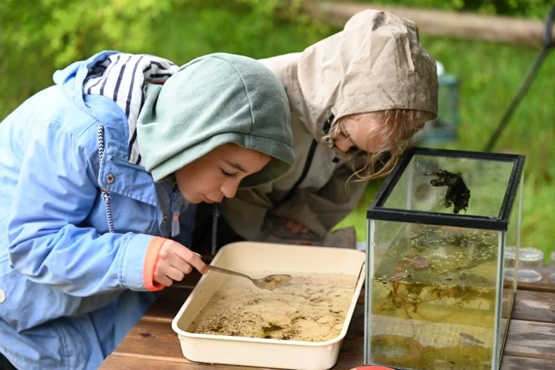 Two children pond dipping