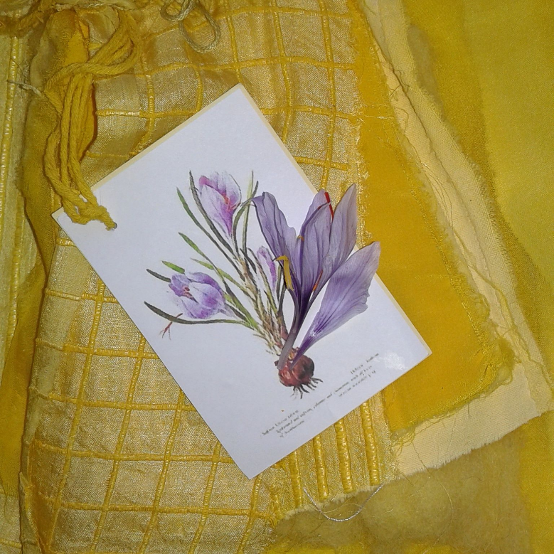 Yellow cloth with a picture of a crocus placed on top