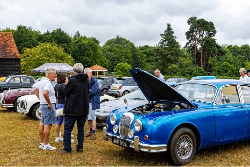 Line of jaguar cars with people talking infront