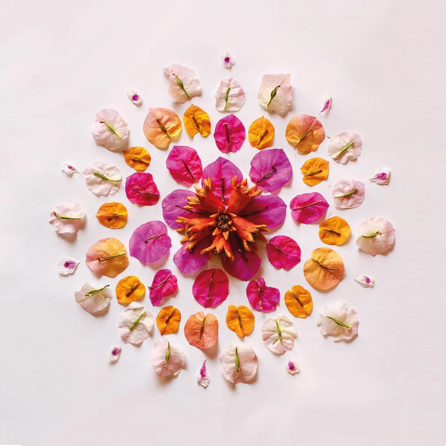 Wohin du auch gehst, geh mit deinem ganzen Herzen

Das ist Elenas Lebensmotto. Ihr Ziel ist es durch die traditionelle Chinesische Medizin das harmonische Gleichgewicht von K&ouml;rper, Geist und Seele ihrer Klienten zu erhalten oder wieder in Einkla