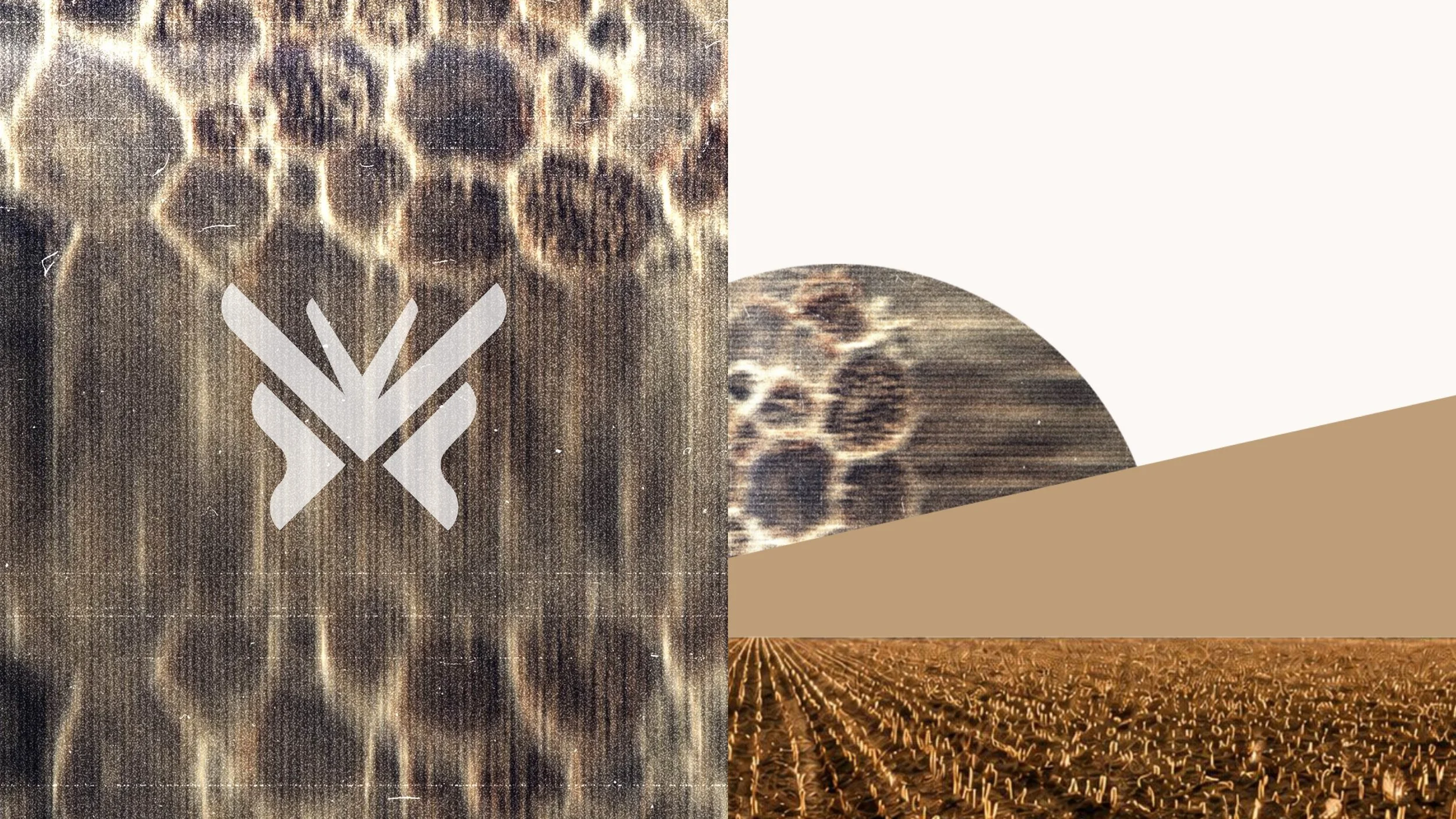 Wildfactory - TrueScale 03.jpg