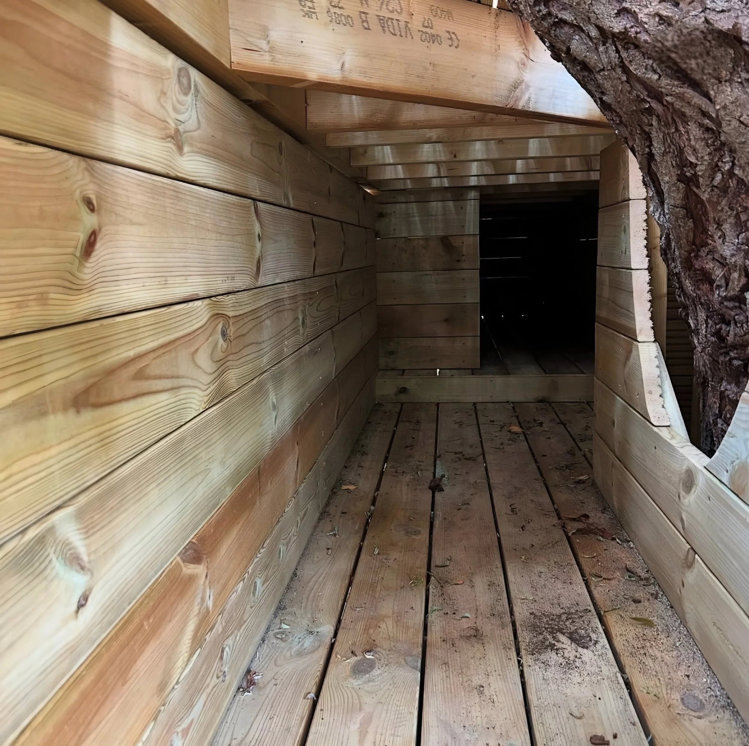 Treehouse tunnel.JPEG