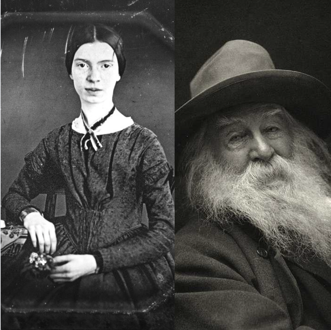 History of poetry course Robin Richardson Emily dickinson Walt Whitman