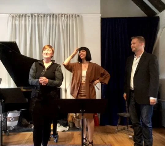 Brooklyn stone House Earthquakes and Islands Opera. Robin Richardson