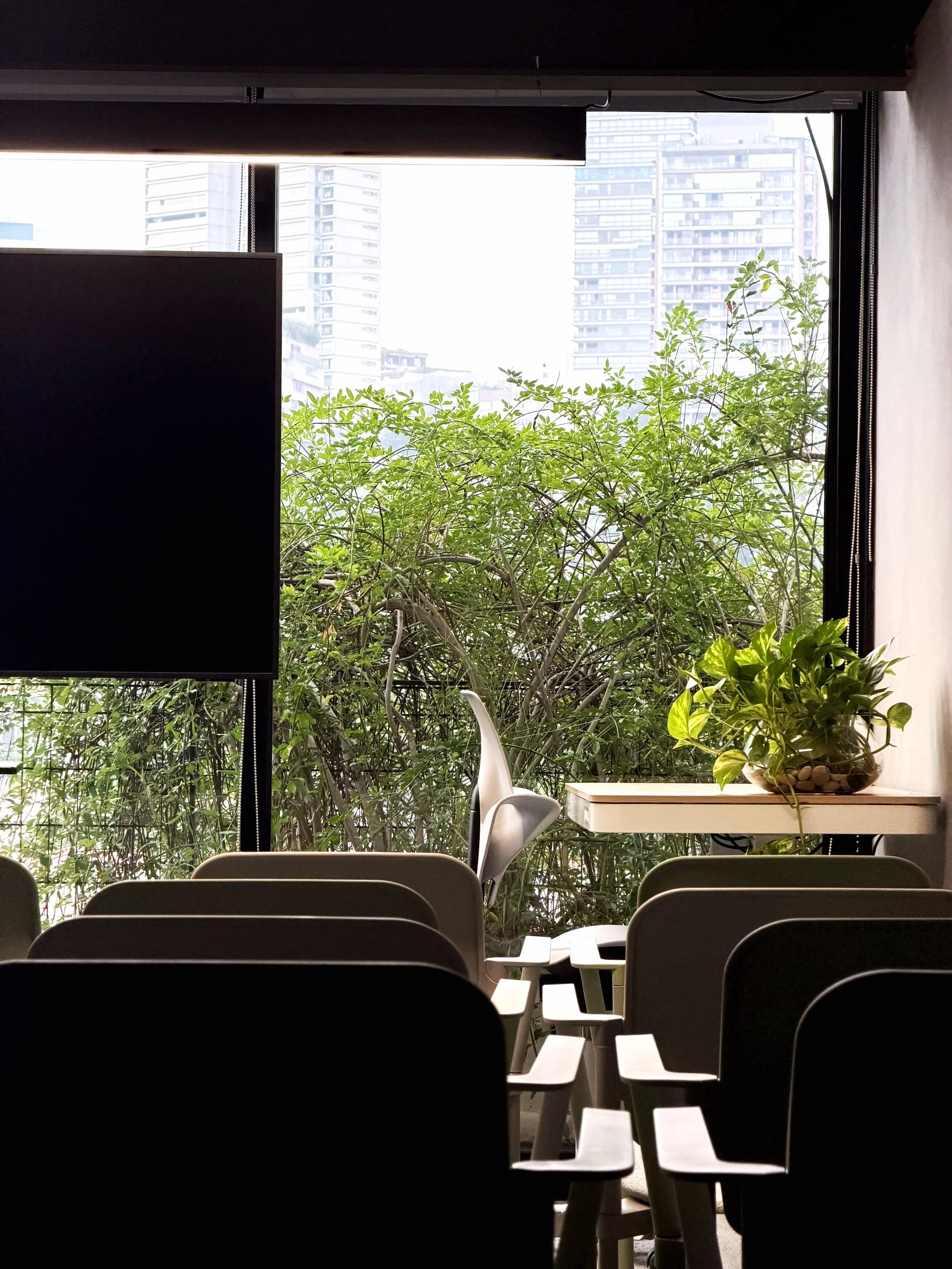 Sala de reunião com cadeiras brancas, uma planta em um balcão ao lado da janela, que mostra prédios altos exteriores. A luz natural ilumina o ambiente.