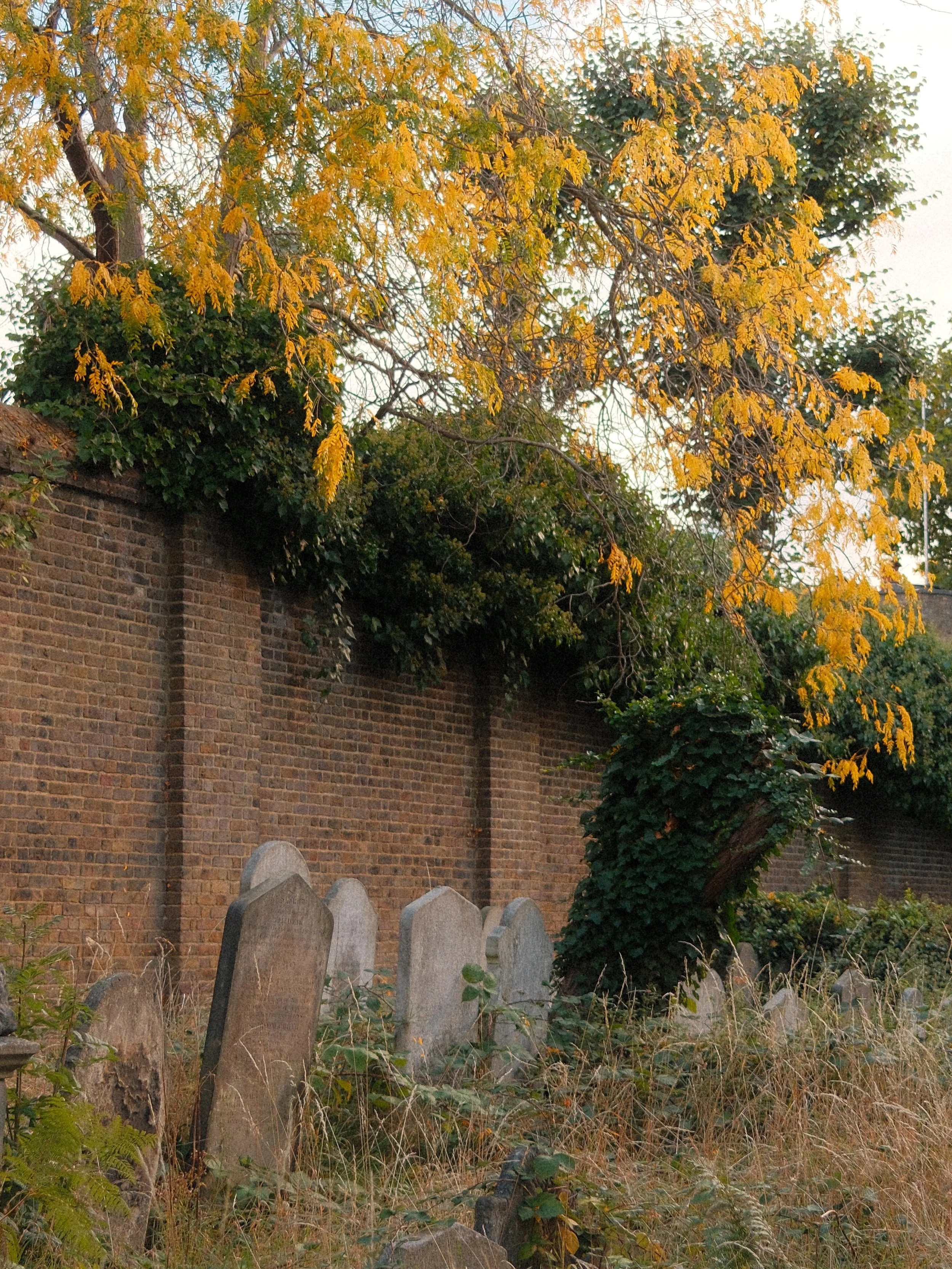 DSCF5088.JPG