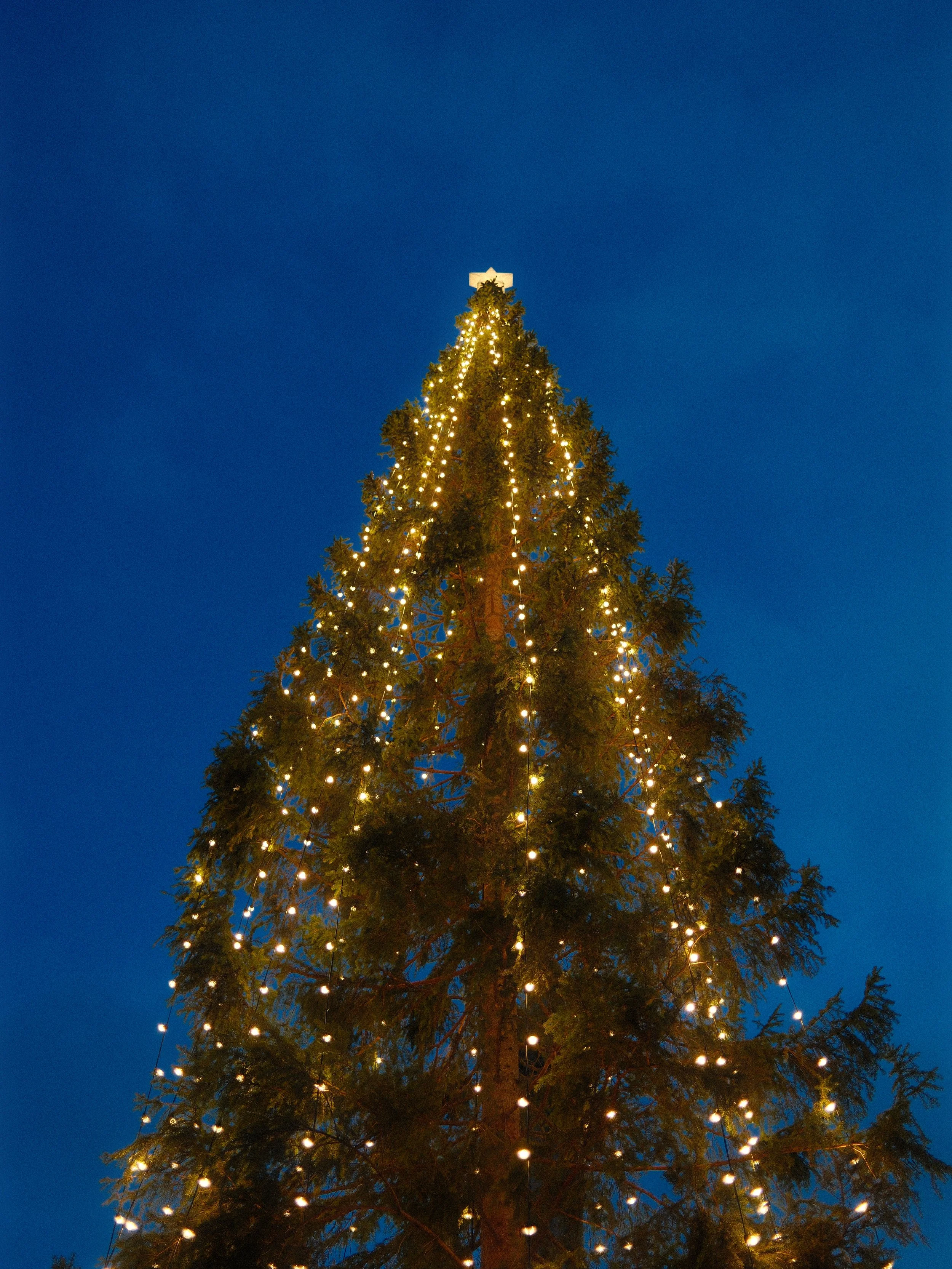 DSCF6994.JPG