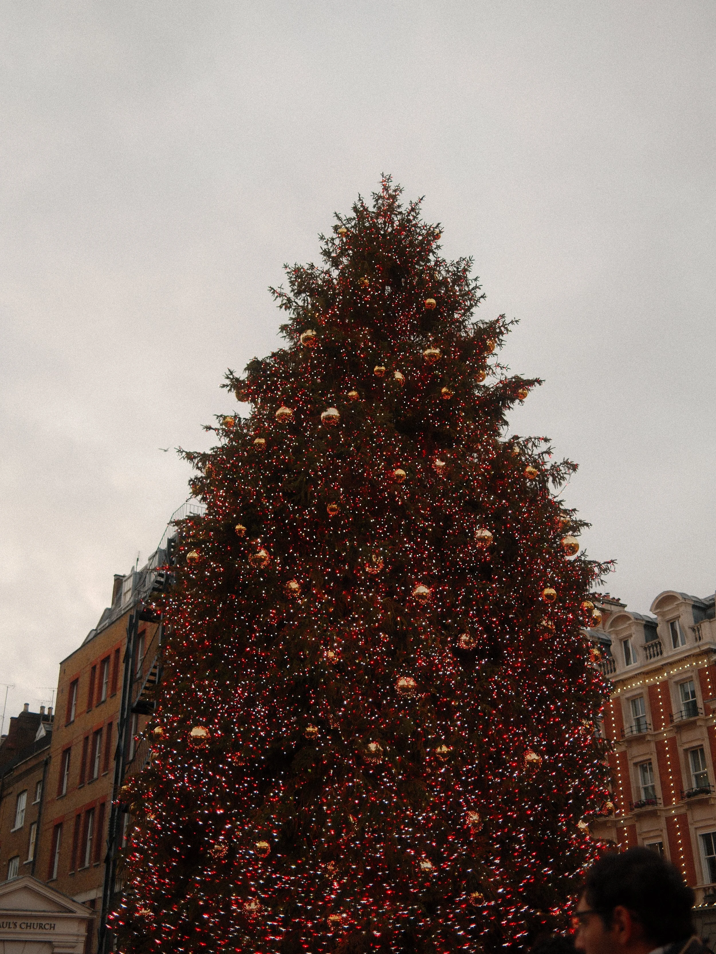 DSCF6975.JPG
