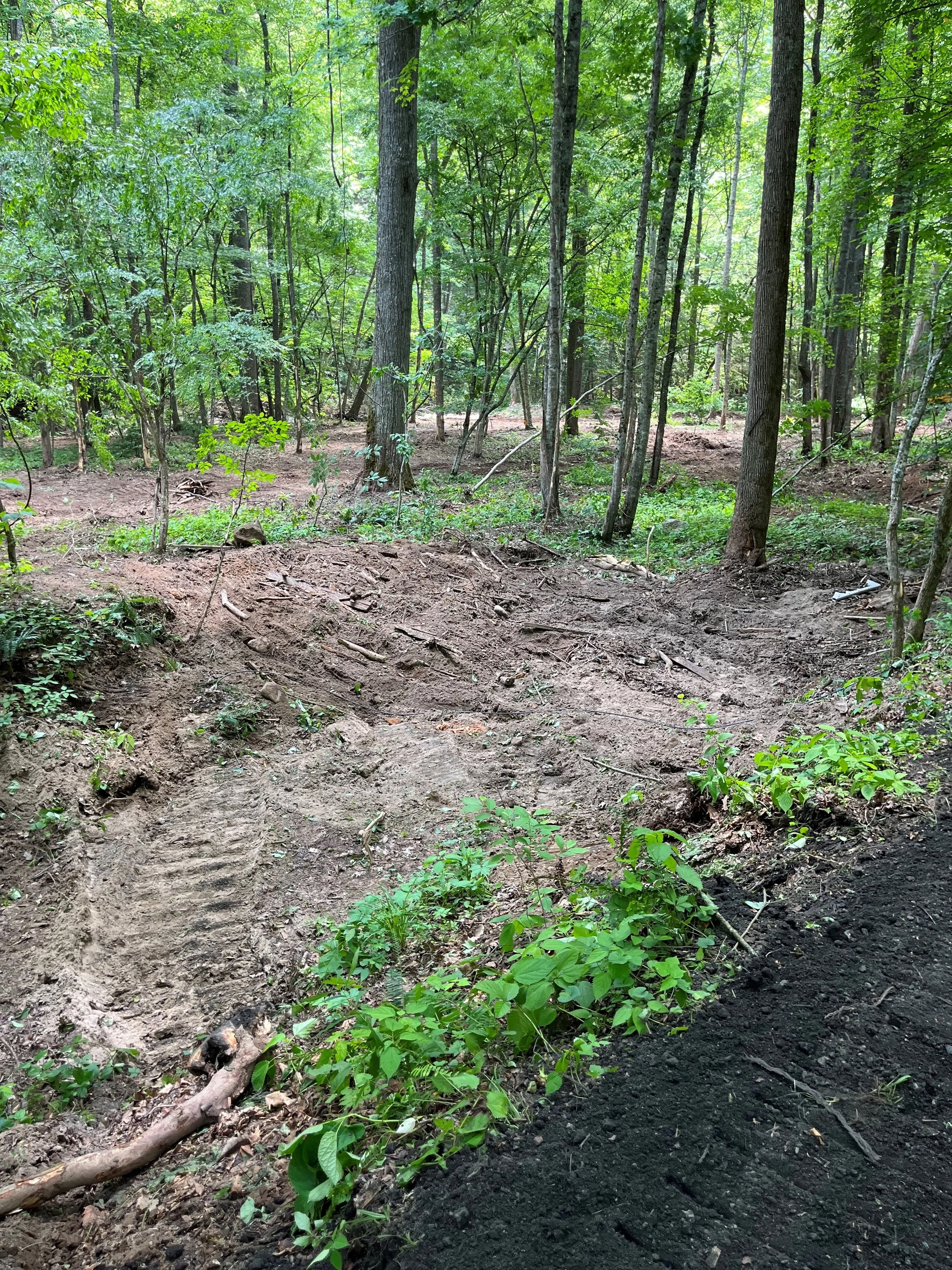 SB culvert area clear 12 June.jpg