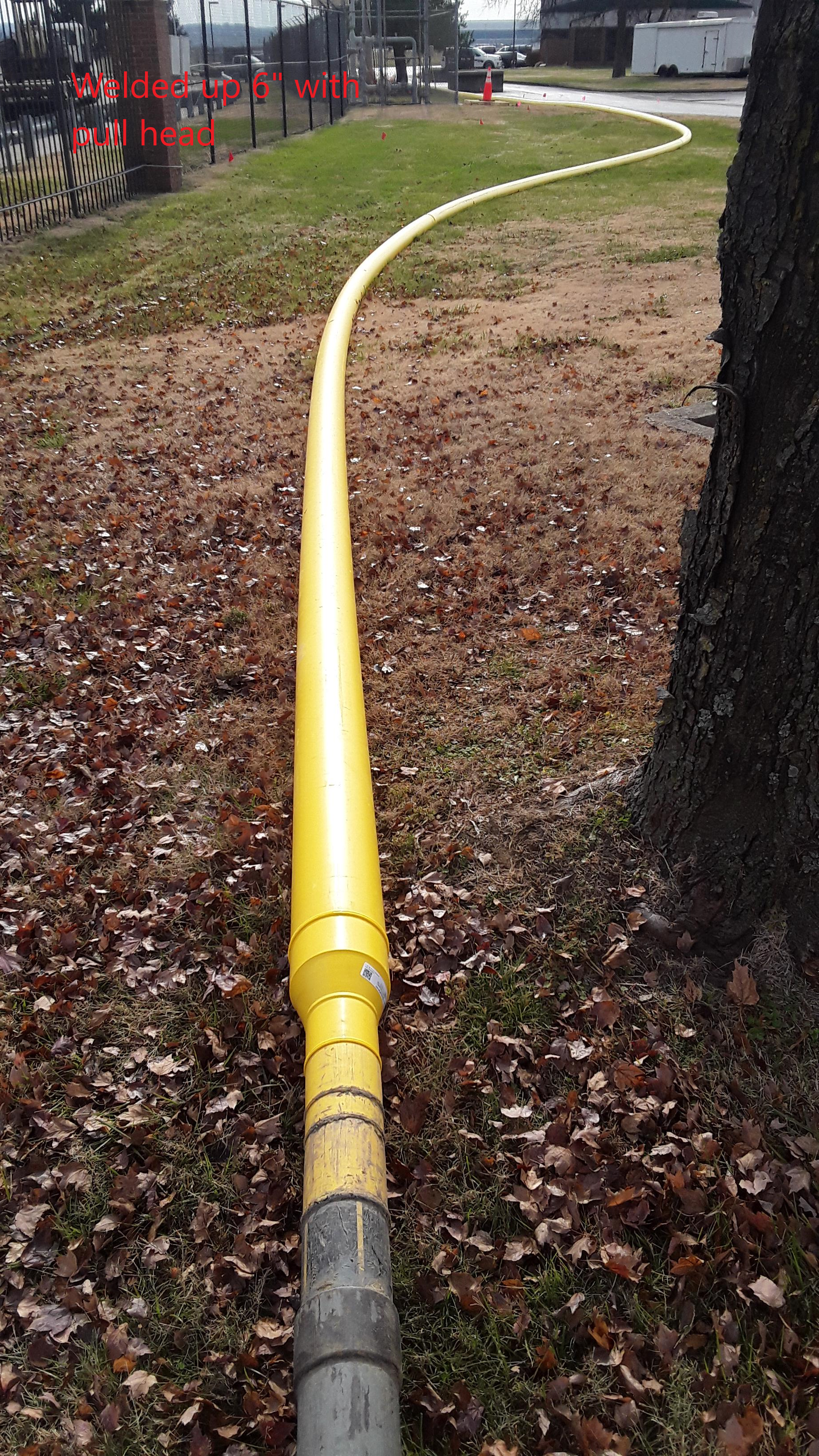 20211201_121703.jpg.png