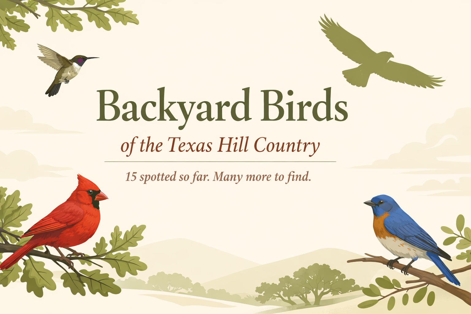 Fifteen Birds, One H-E-B Aisle, and a New Backyard Curiosity