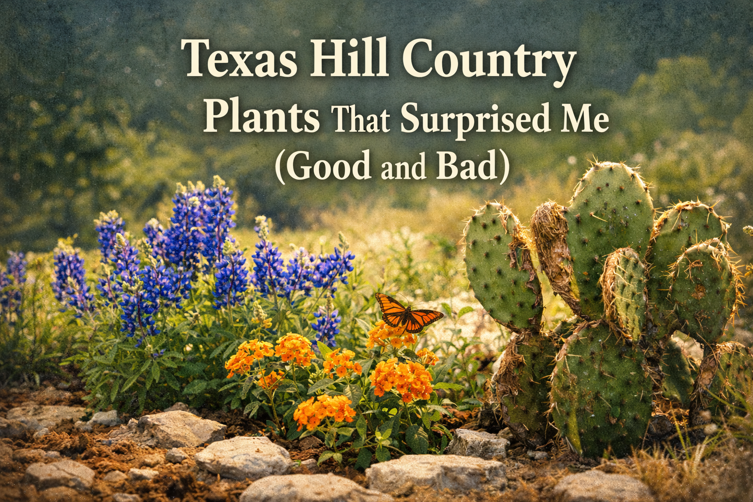 Texas Hill Country Plants That Surprised Me (Good and Bad)