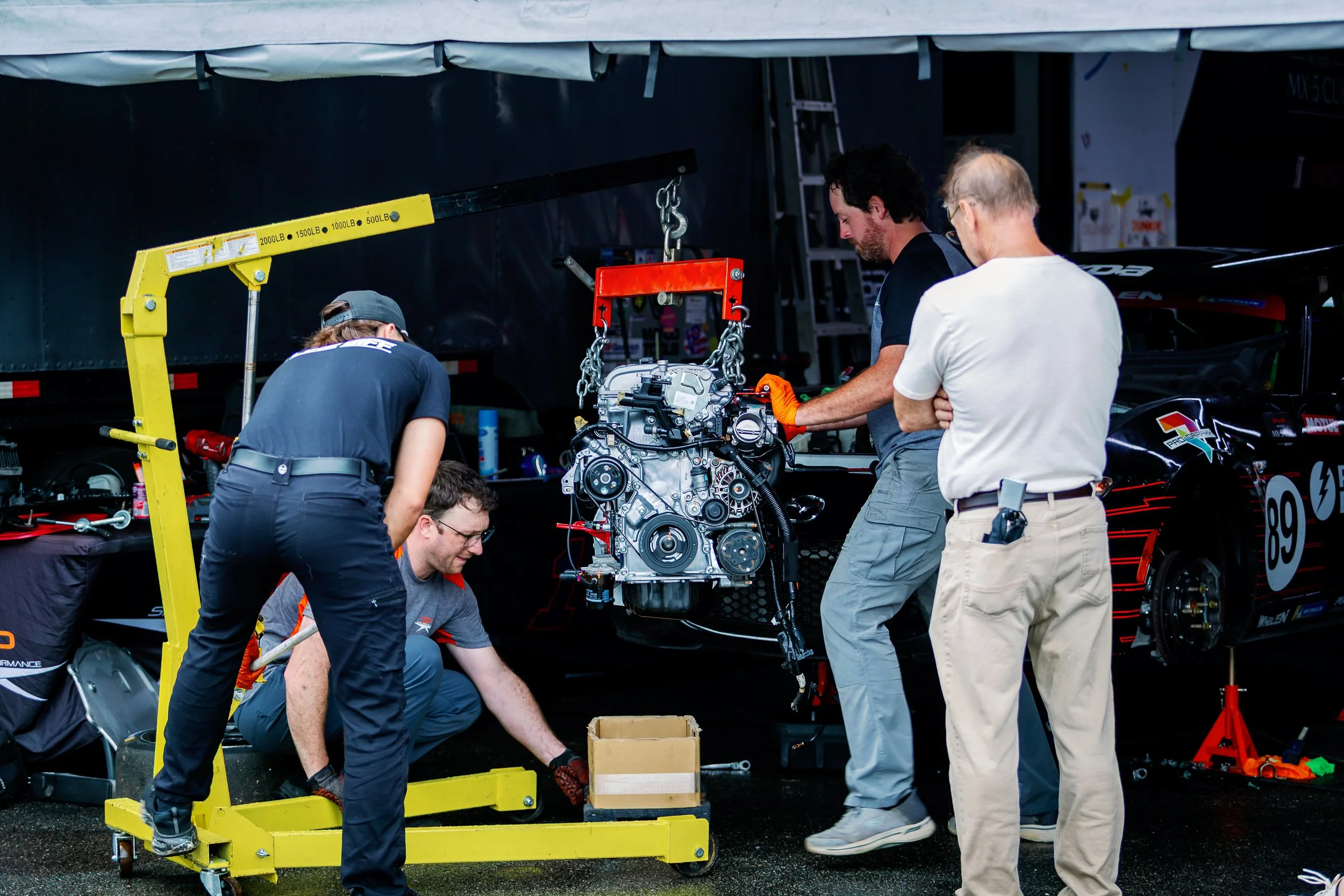 VIR2026-21.jpg