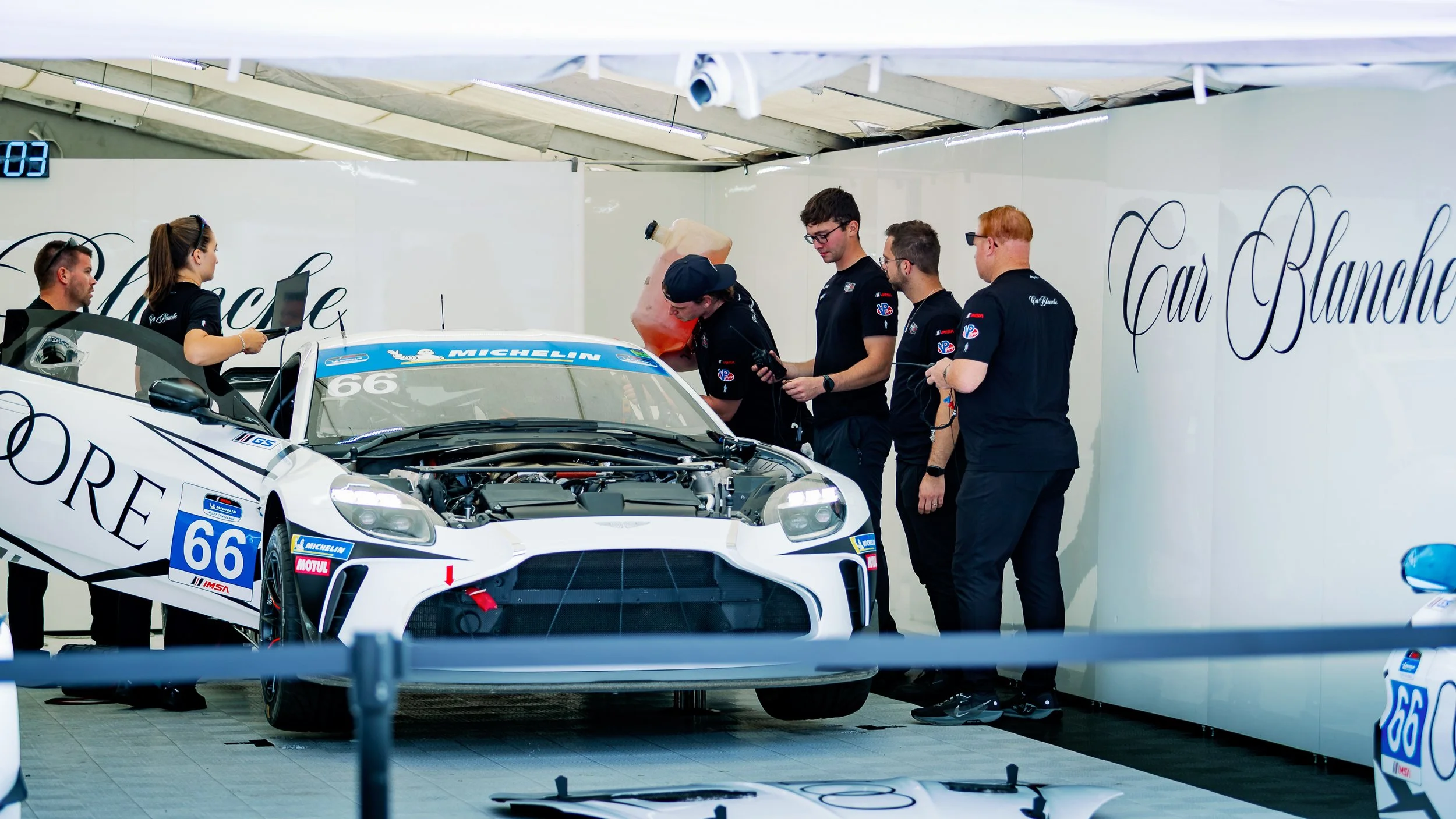 VIR2026-09.jpg