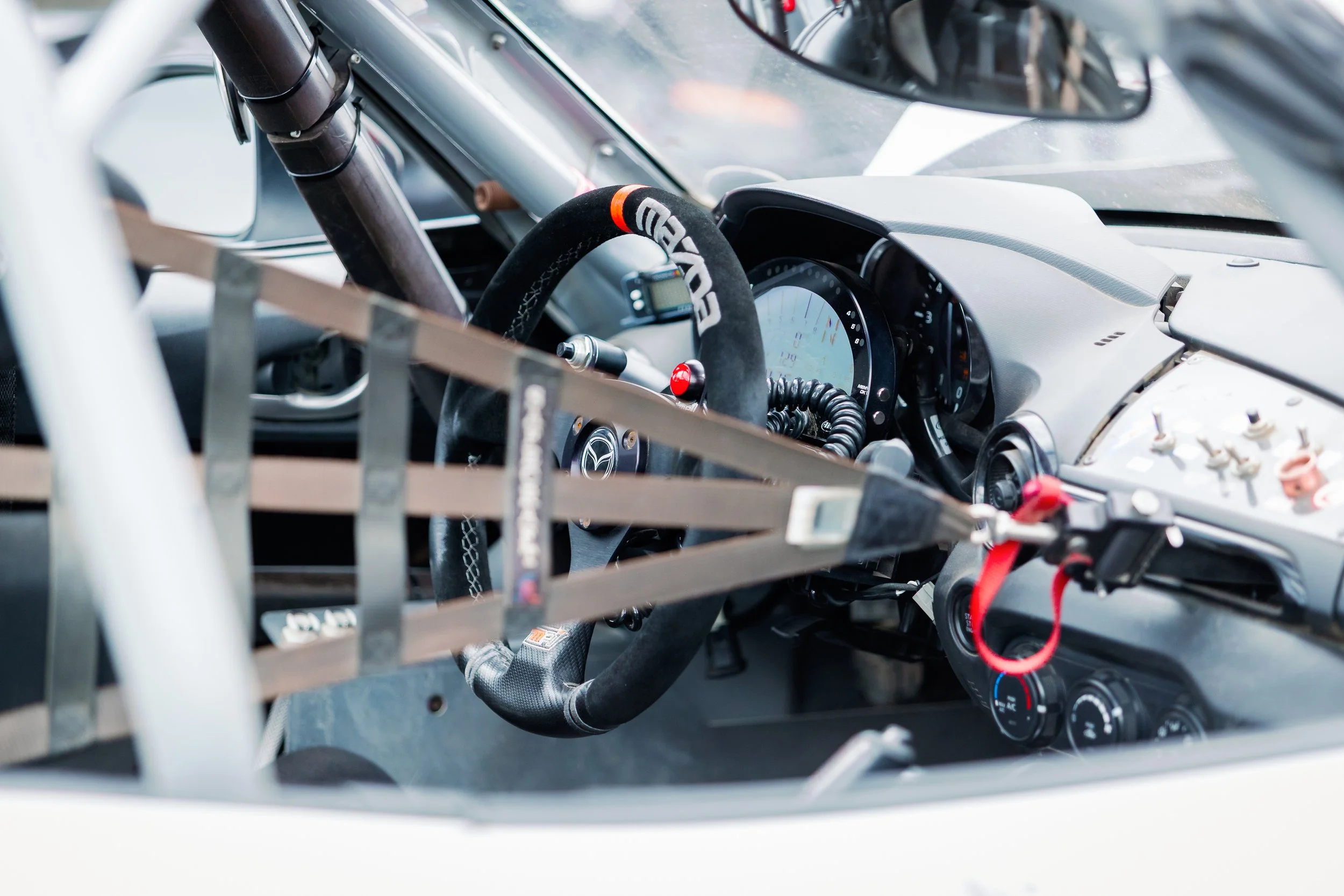 VIR2026-22.jpg