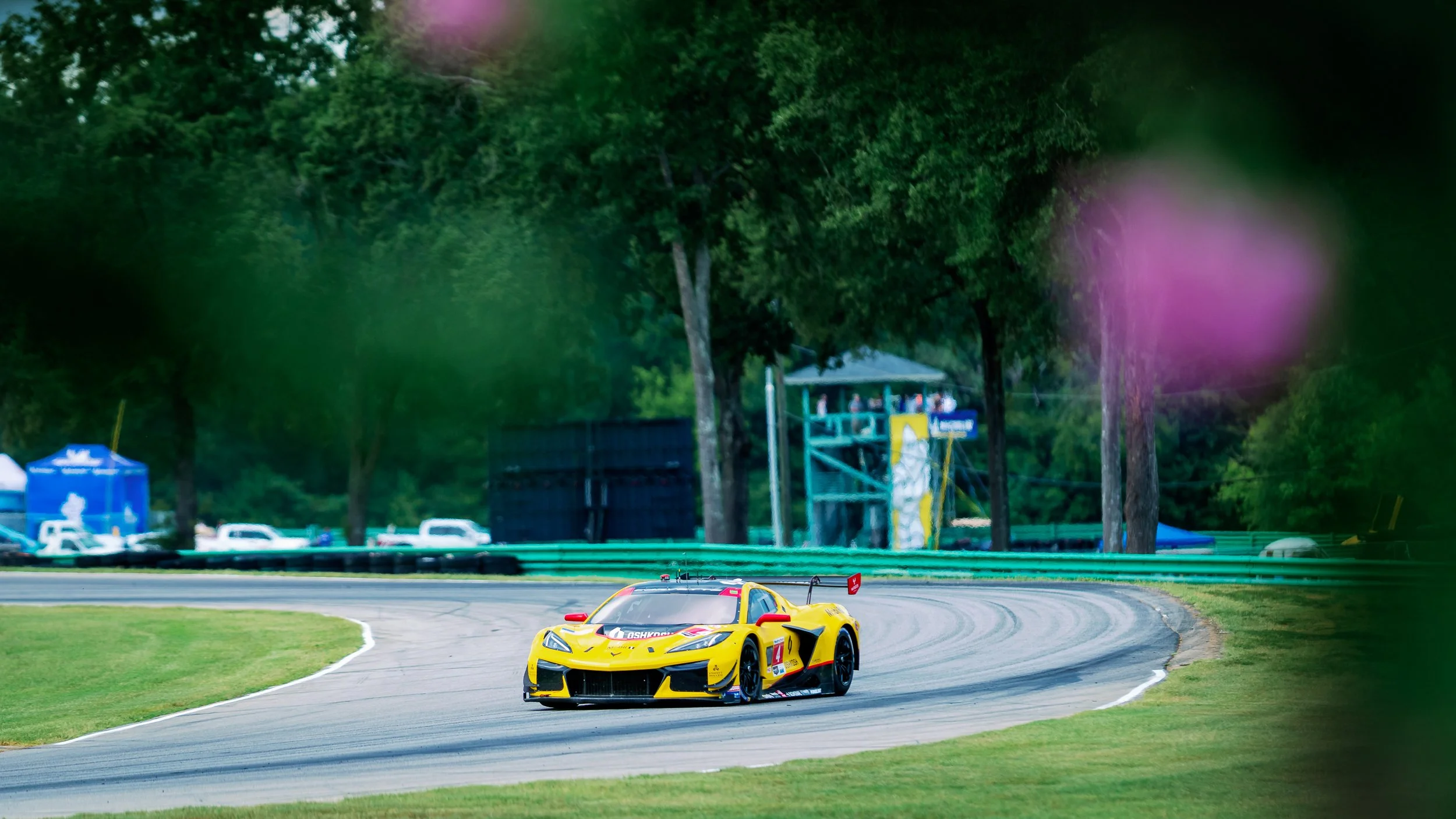 VIR2026-59.jpg