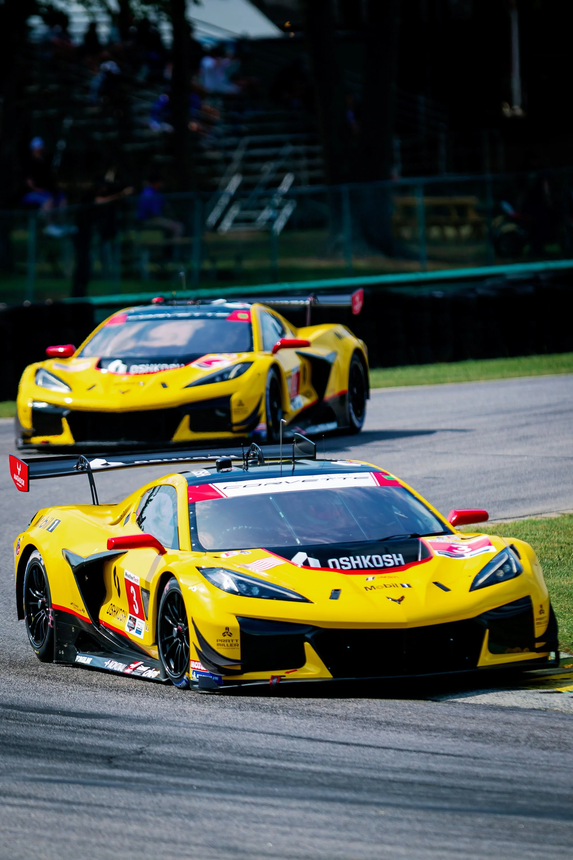 VIR2026-50.jpg