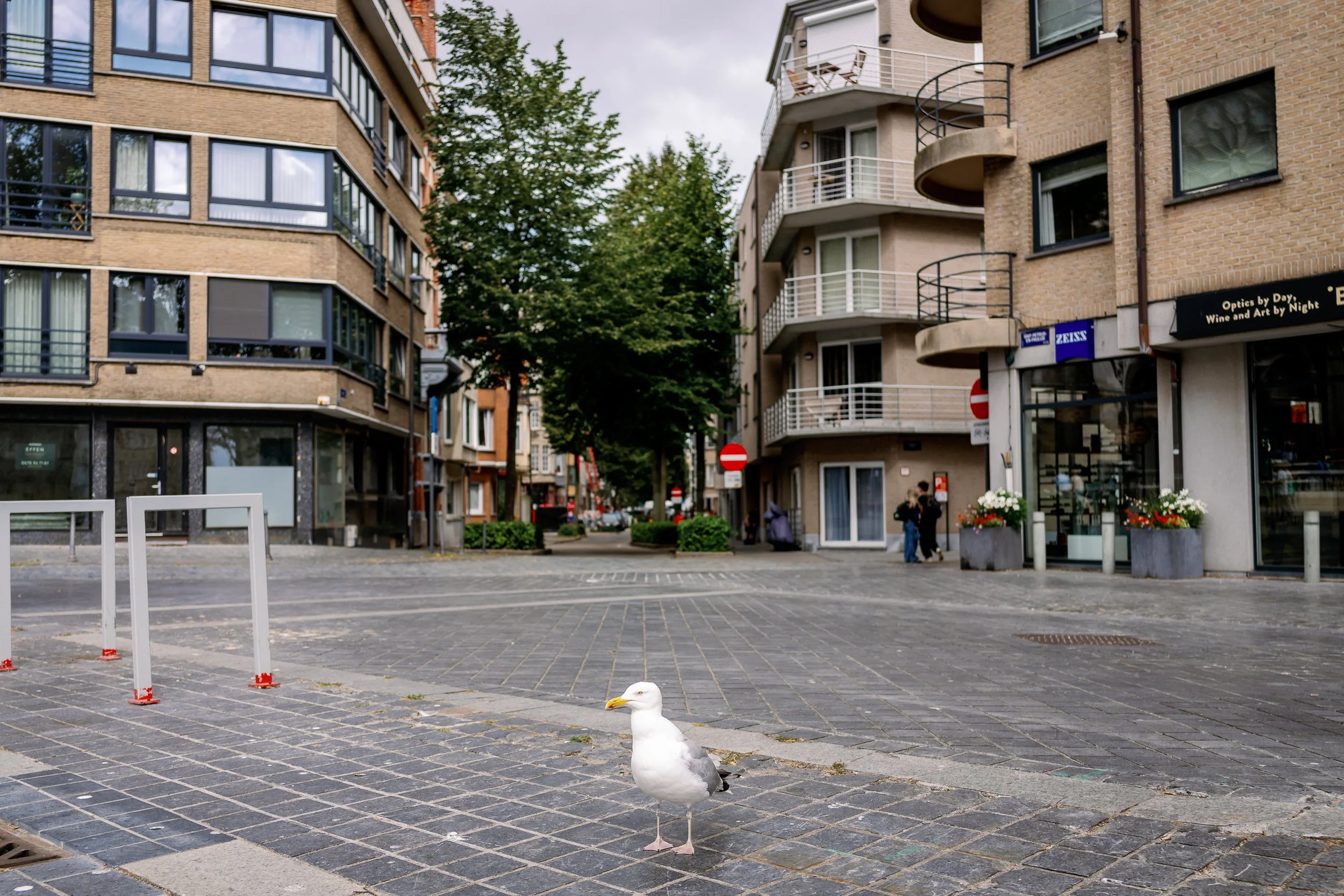 Belgium-61.jpg