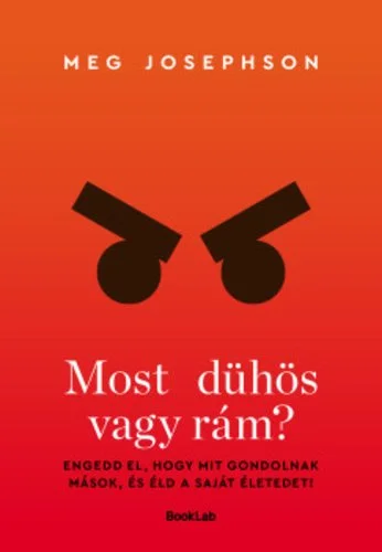 43 meg-josephson-most-duhos-vagy-ram tizkicsikonyv.jpg