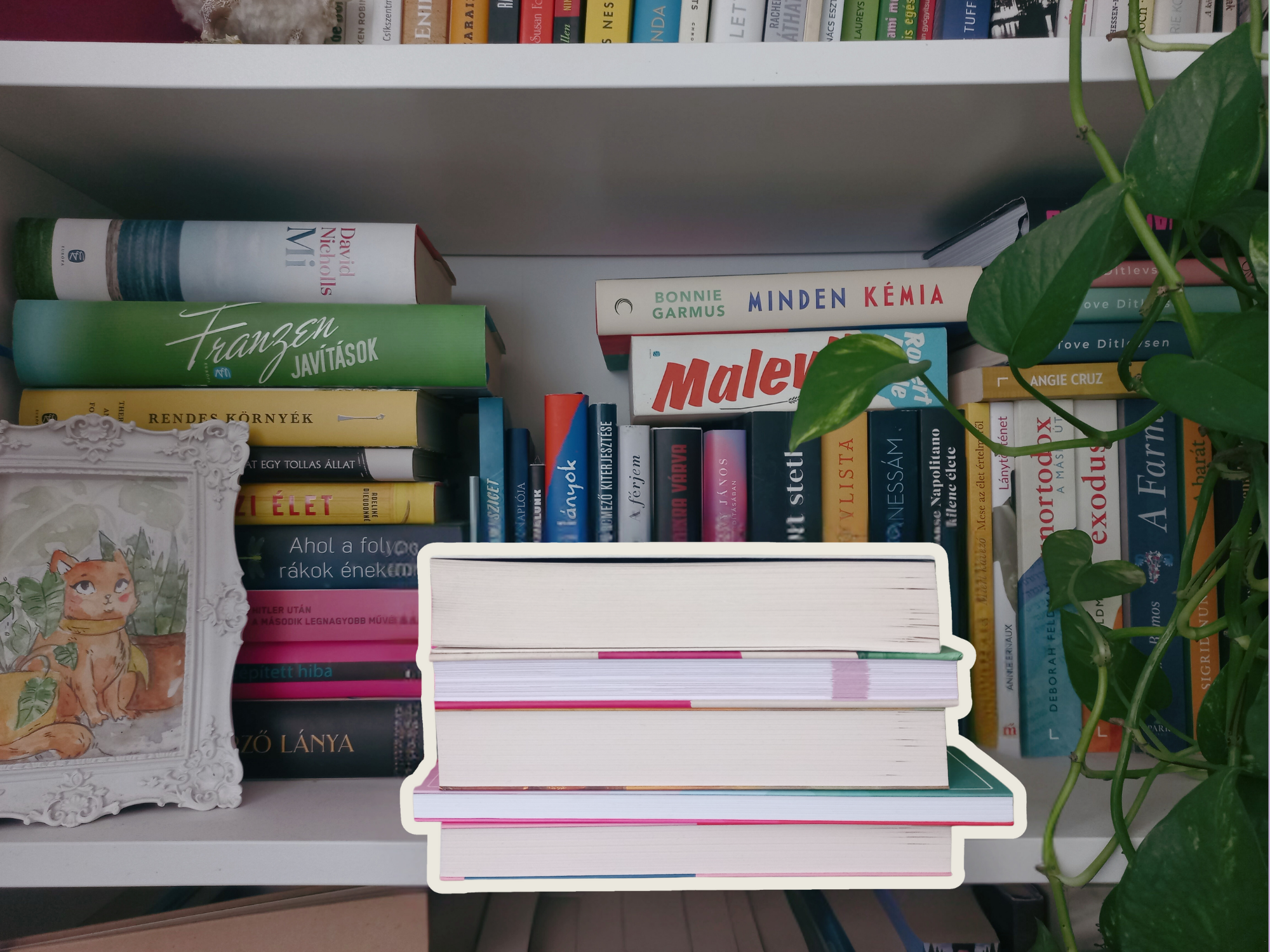 2025 mérföldkö(ny)vei: az év kedvenc olvasmányai &amp; évösszegzés