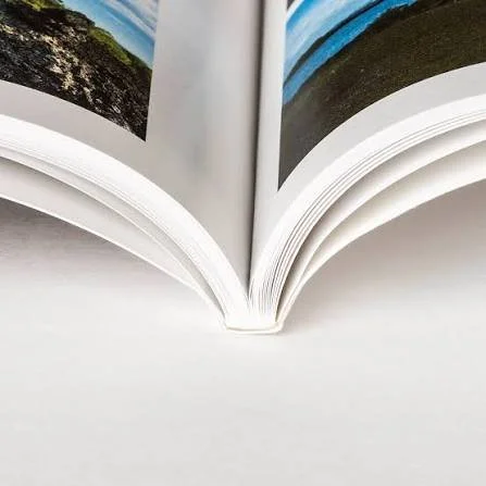 Book image.jpg