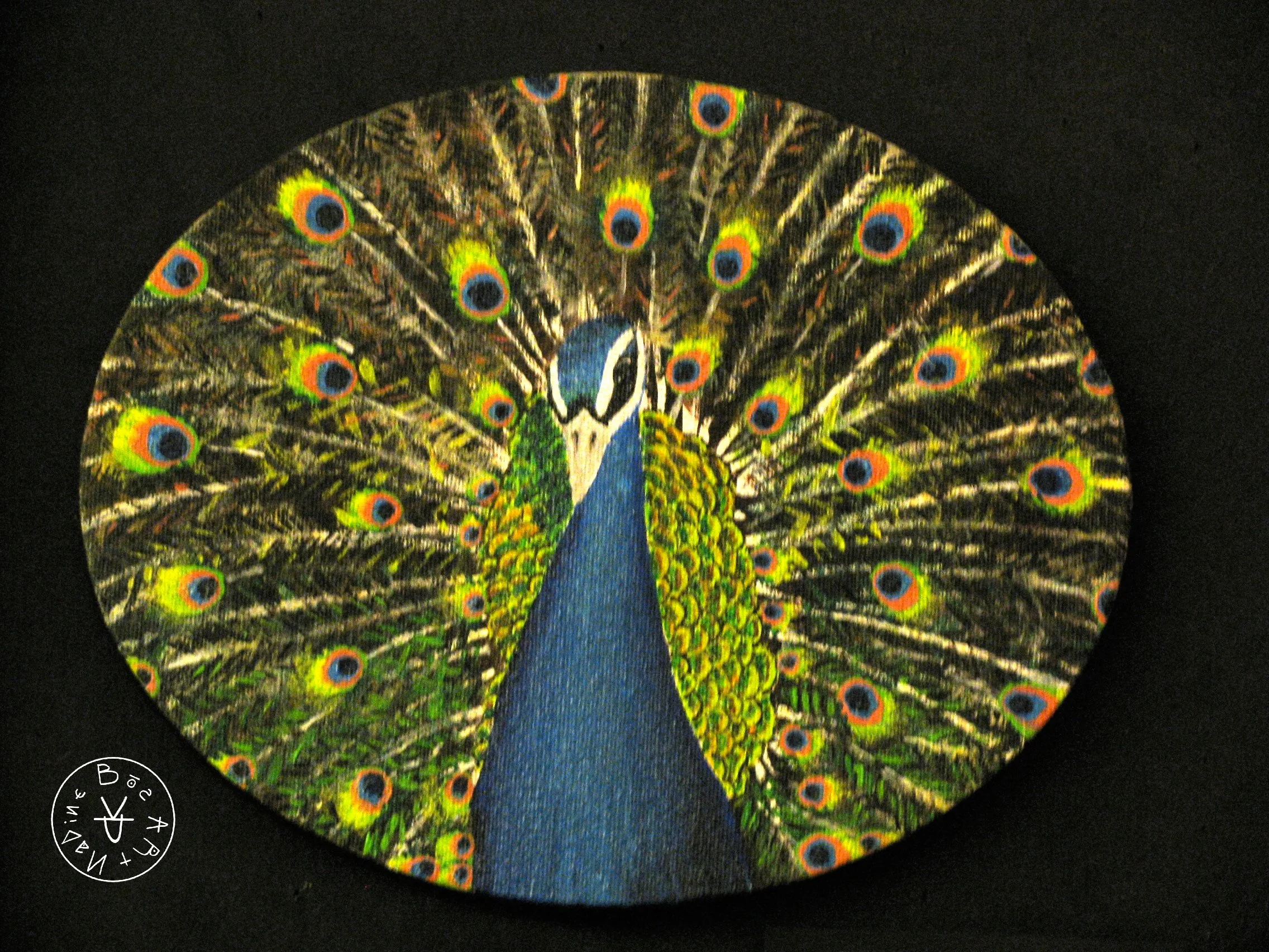 Painted Peacock, Acrylic on Canvas