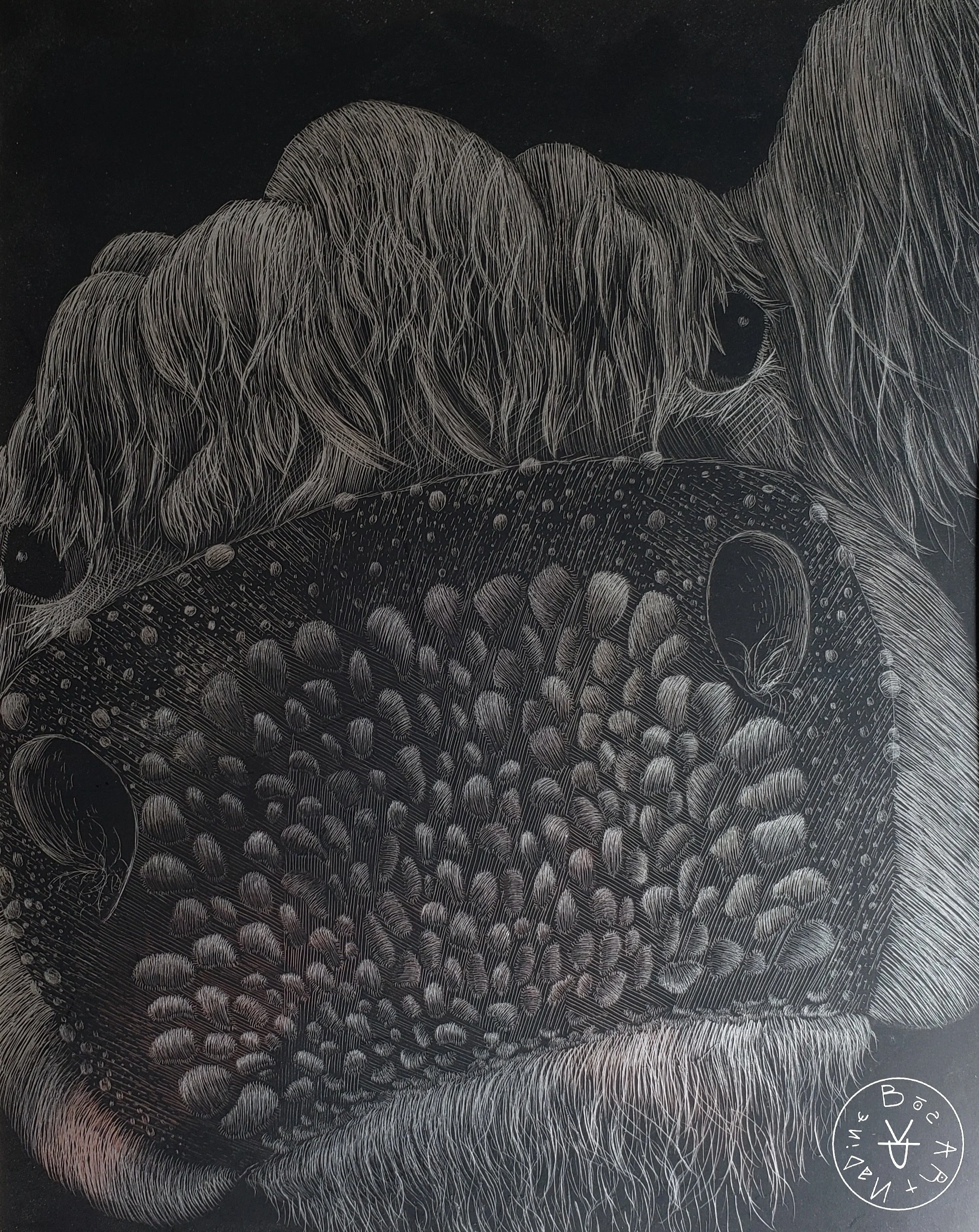 Up Close and Personal, Etching on Paper