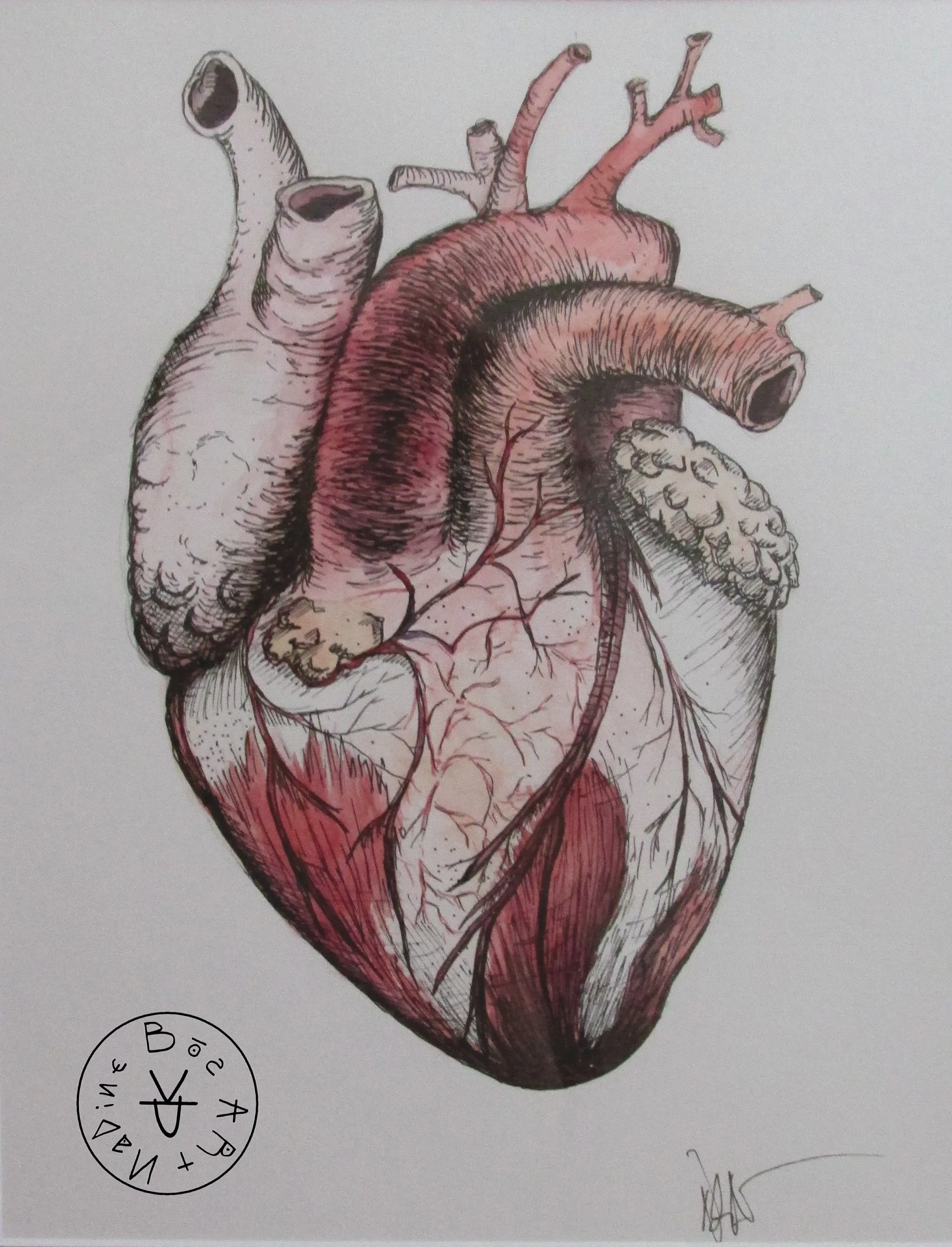 Heart, Watercolor on Paper