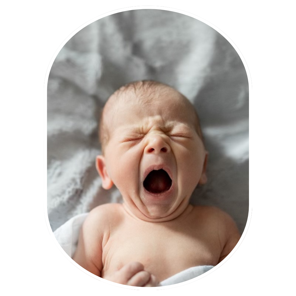 Sleep Programs & Virtual Calls Jamie'zzz Sleep Consulting — Jamie’zzz