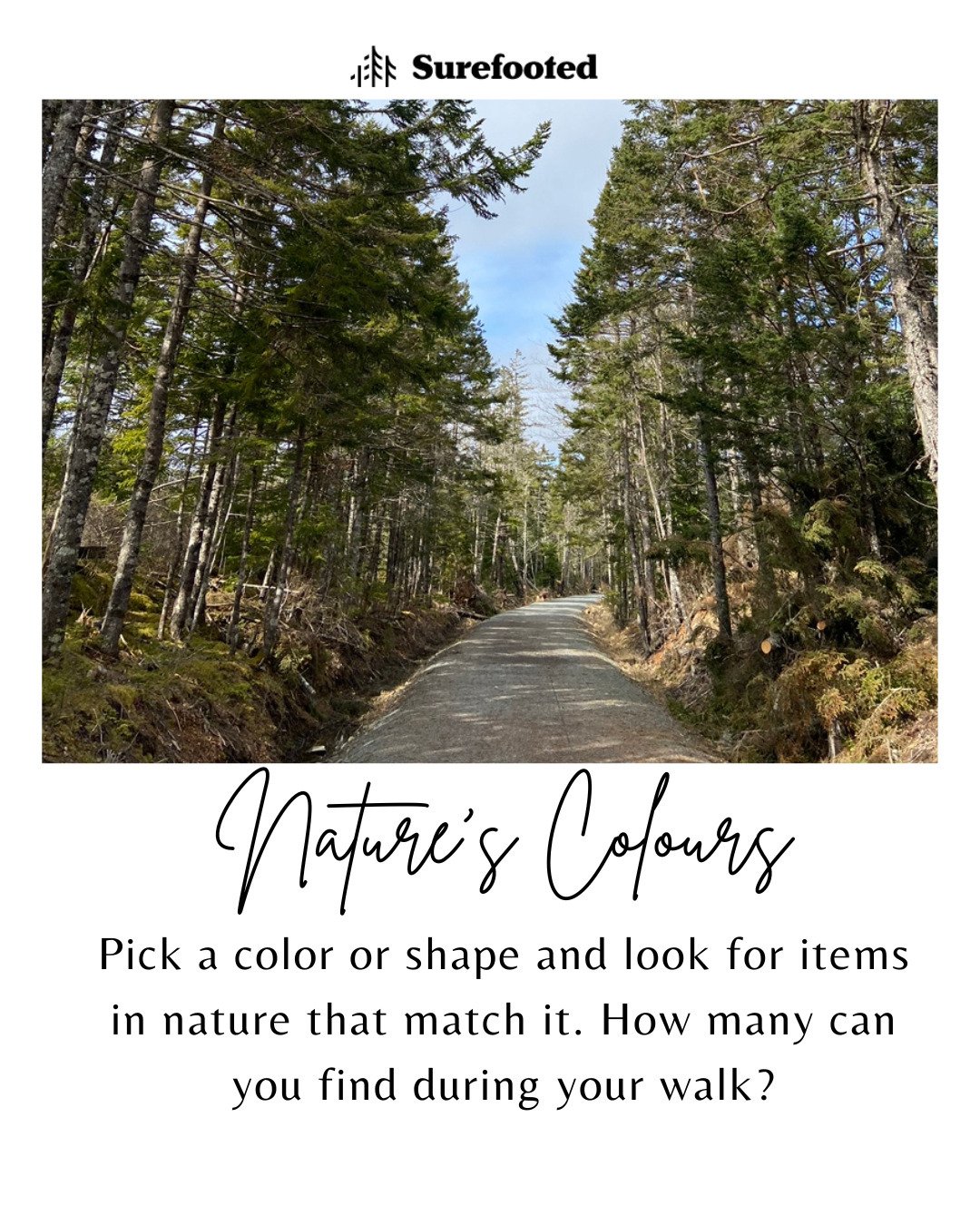 One of our favourite nature shape's to look for is hearts! Whats yours? 
❤️❤️❤️

#mindfullnessmatters #intentionalliving #recharge #rest #reset #surefooted #goalsetting #youmatter #youmattertoo #focusedonmygoals