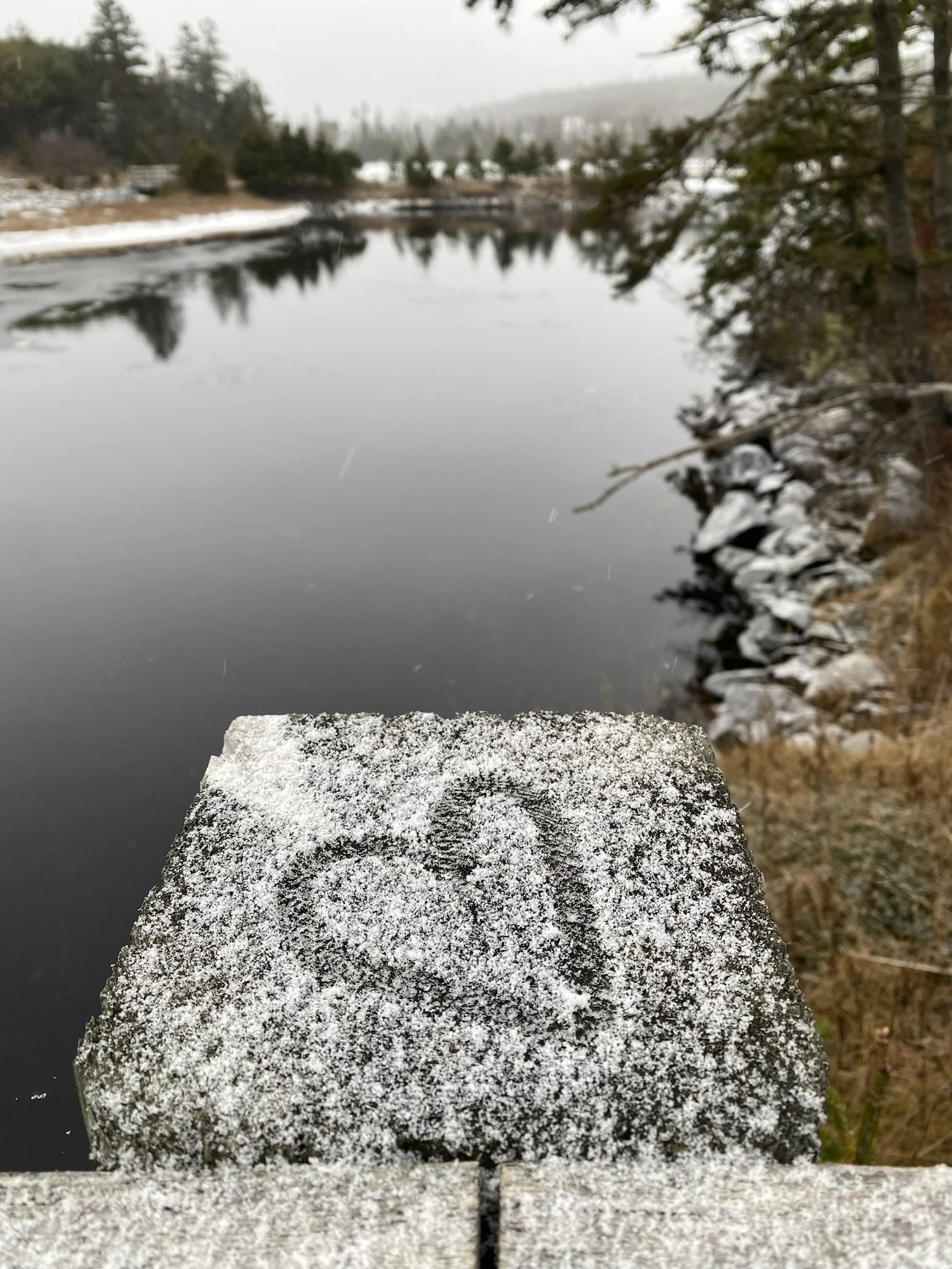 Why I’m Committing to Spending Time in Nature Every Day 