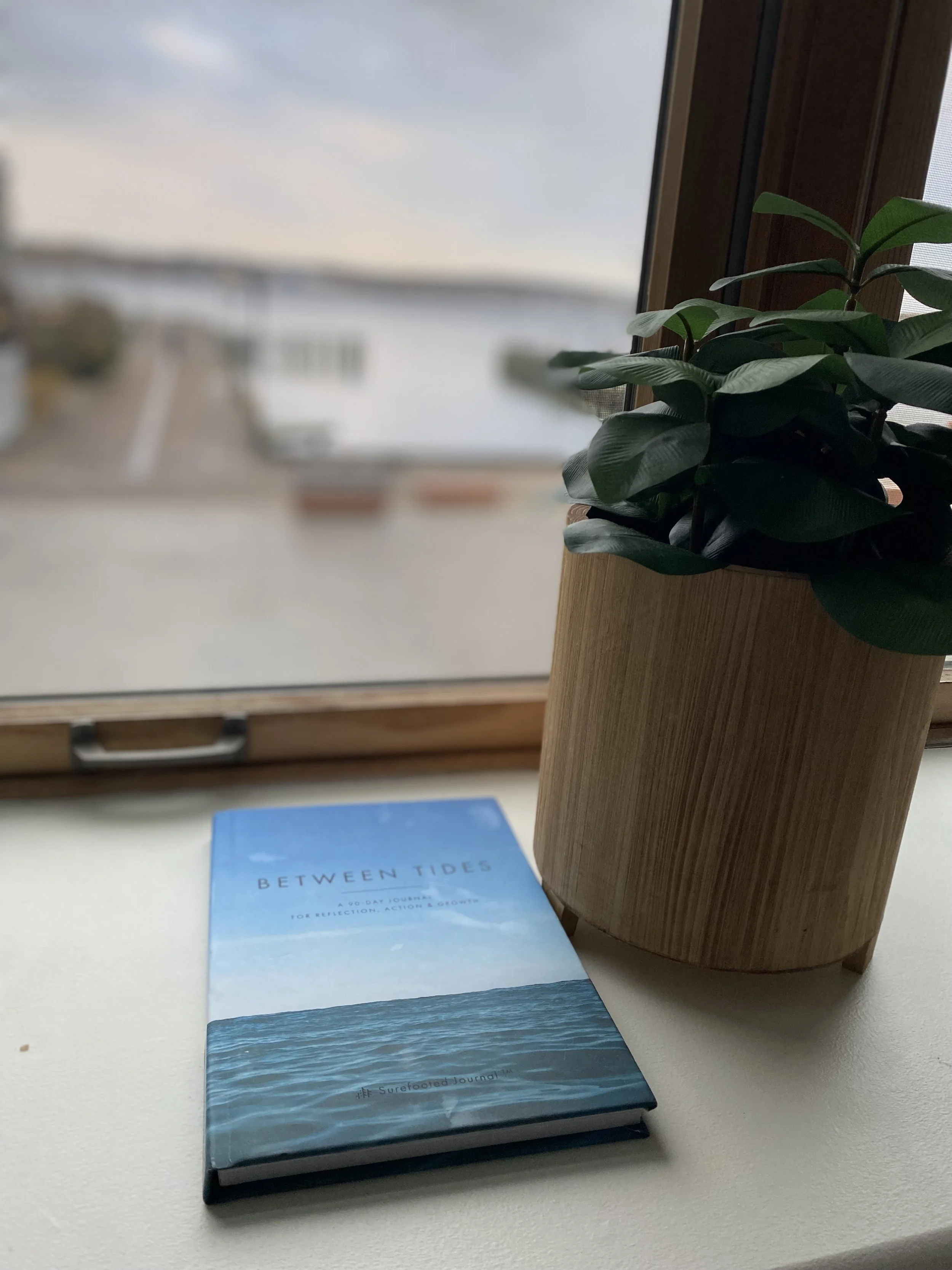 Consistency, Mindset, and the Power of Small Wins (February Reflections)