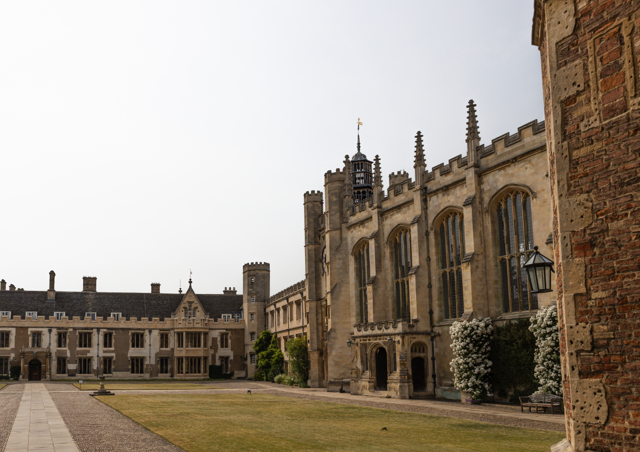 Cambridge launches LOGOS to tackle AI's grip on how humans think and learn