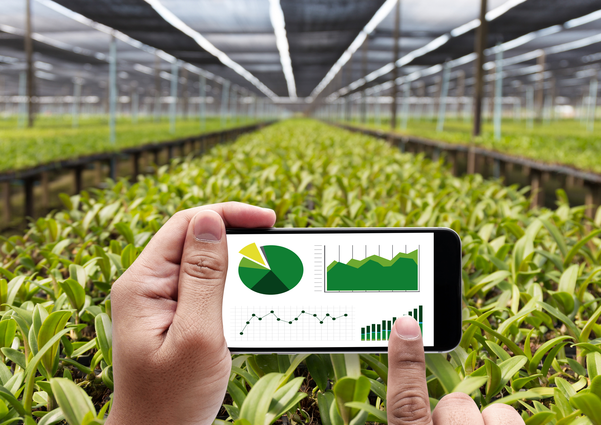 MBZUAI launches agriculture and AI institute focused on smallholder farmers